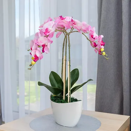 Egitos Apartamentai Lägenhet *