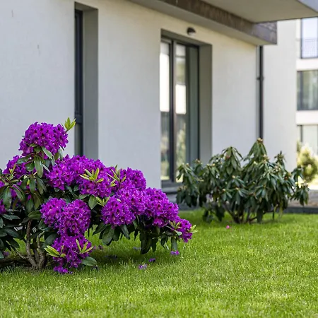 Apartament Egitos Apartamentai Połąga