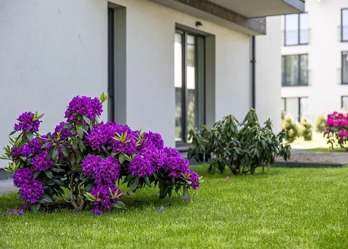 Apartman Egitos Apartamentai Palanga